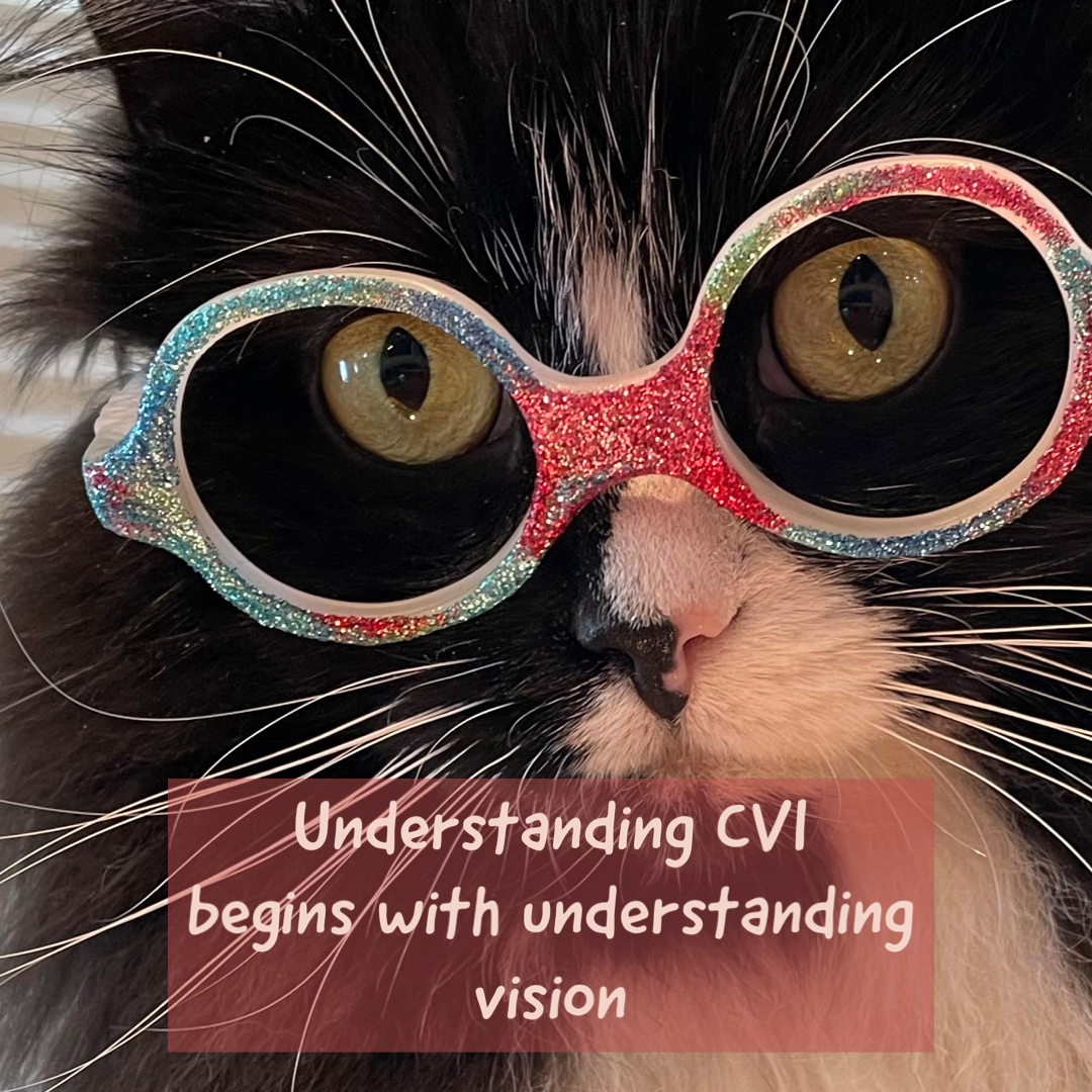 Understanding CVI begins with understanding vision