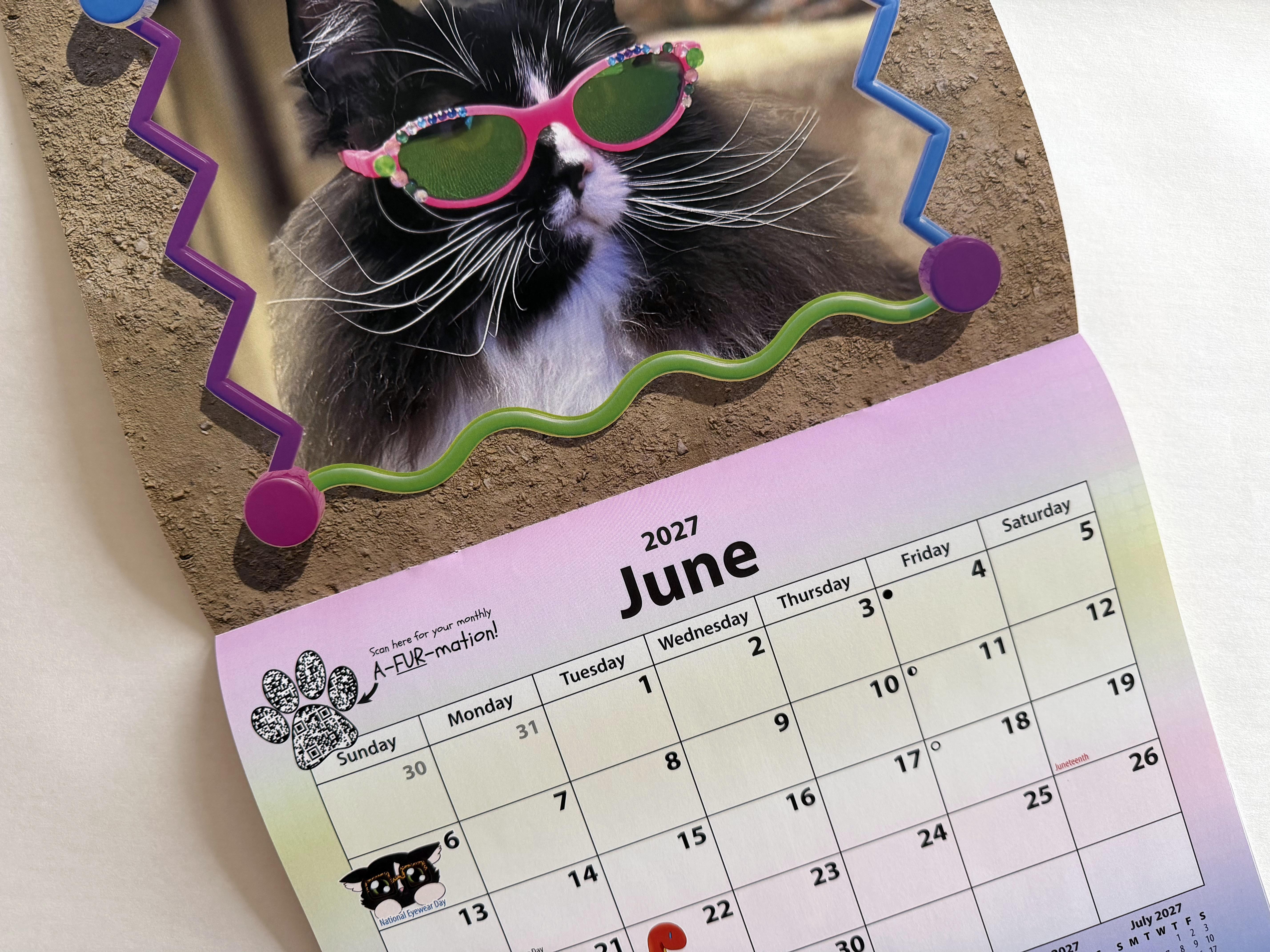 Truffles the Kitty 2027 Calendar