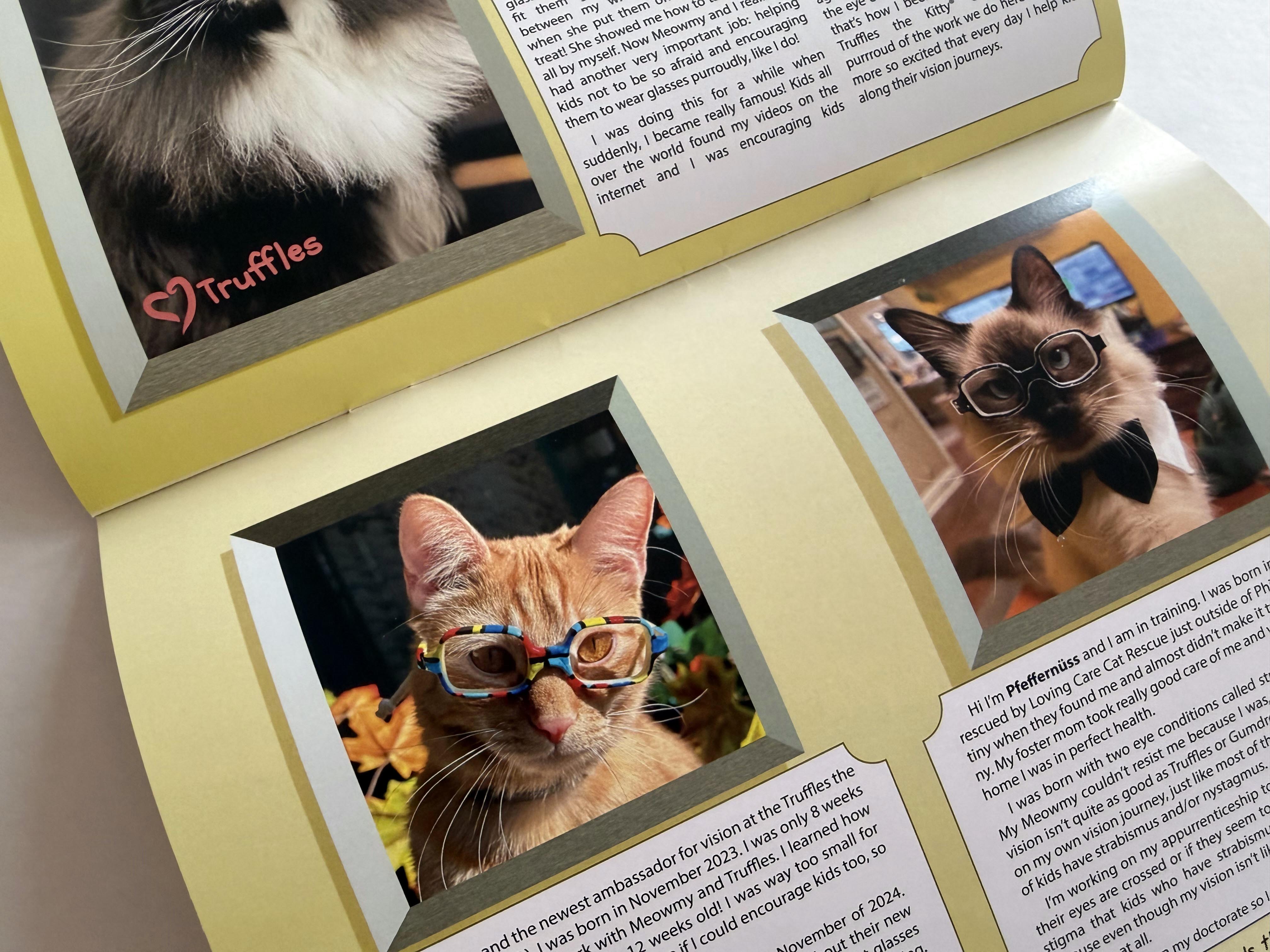 Truffles the Kitty 2027 Calendar