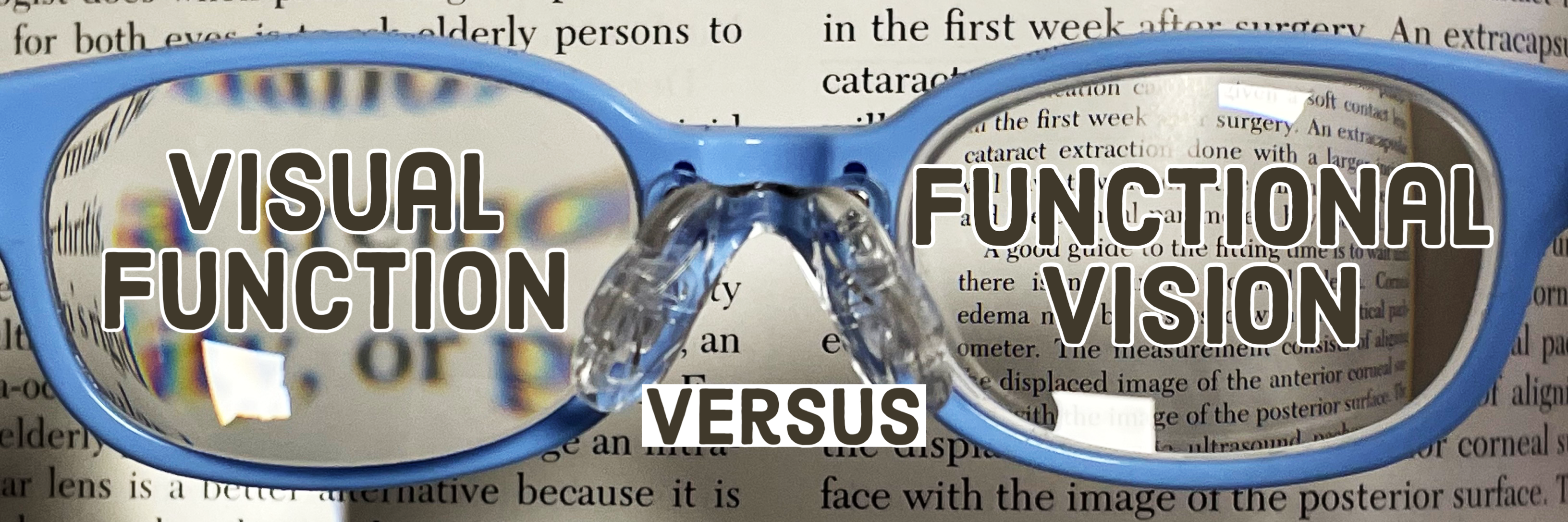 Visual Function Versus Functional Vision